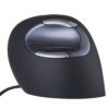 Evoluent D Mouse Medium 178-198 mm