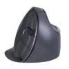 Evoluent D Mouse Medium Wireless 178-198 mm